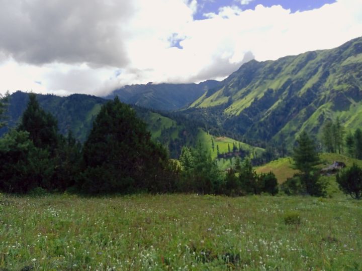 आम्दानीको स्रोत बन्दै धुपी