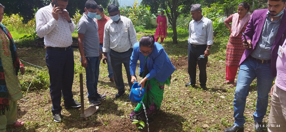 शहीदकाे सम्झनामा वृक्षाराेपण