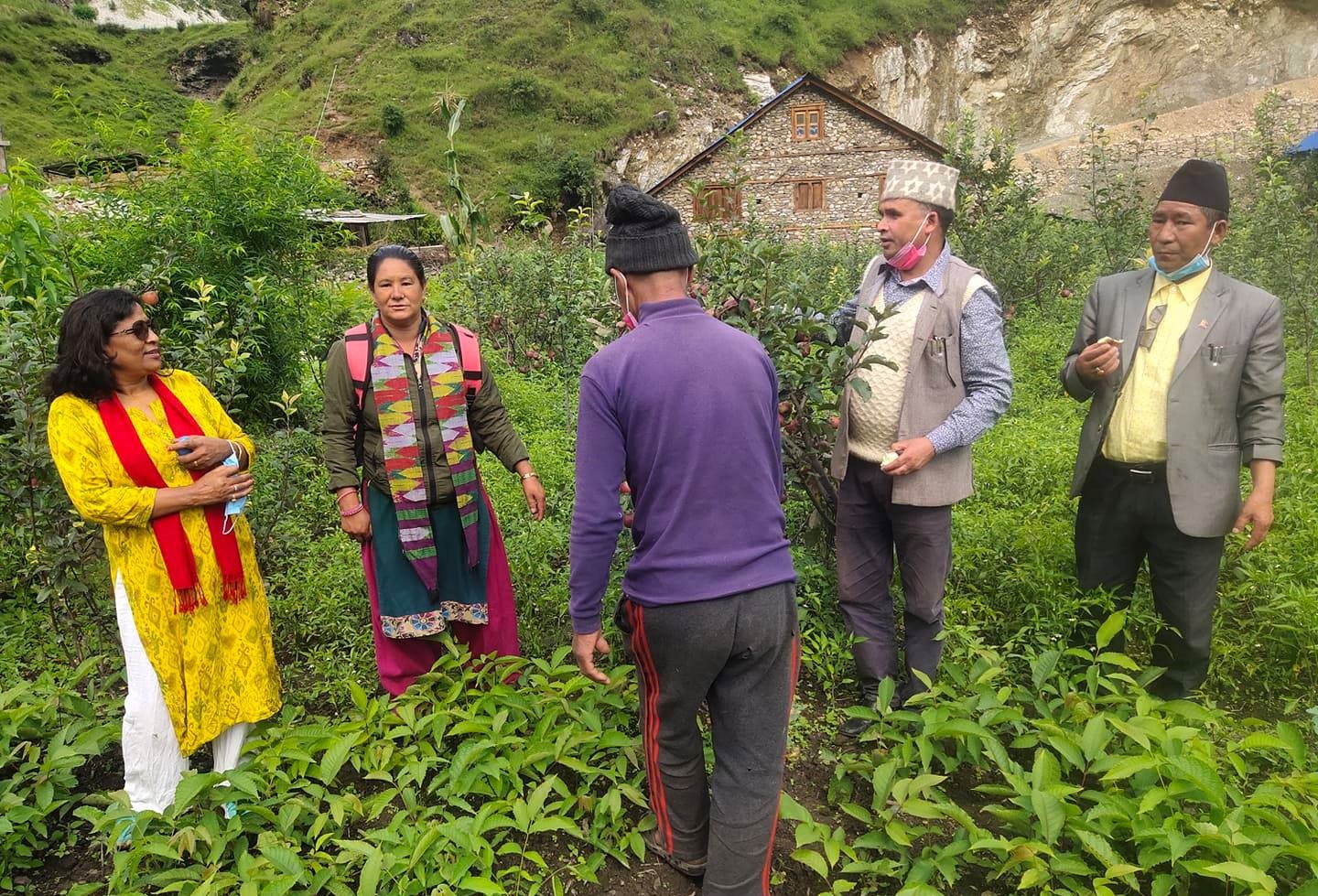 ओखर बगैँचामा जनप्रतिनिधि पुग्दा किसान फुरुङ्ग