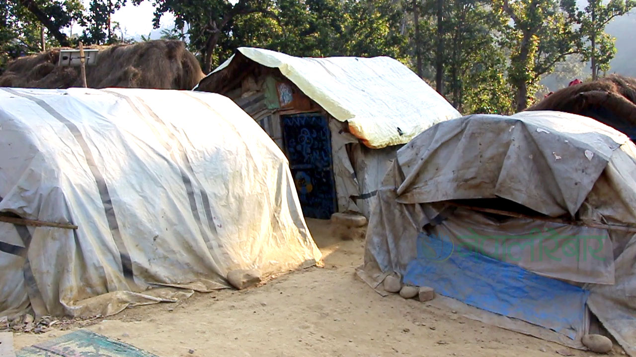 बाढी पीडितका नओभाएका घाउ, अभावै अभावमा विते आठ बर्ष