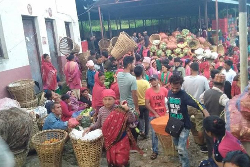 तीन महिनामा सल्यानबाट साढे आठ करोडको तरकारी निकासी