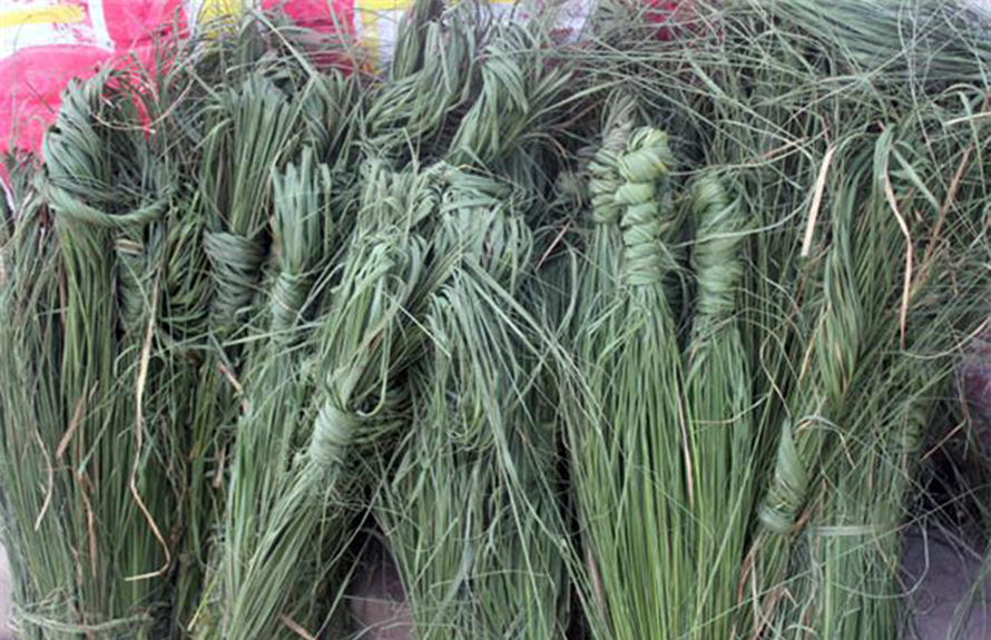 आज कुशे औंशी