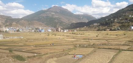 लगातारको वर्ष पछि आज जुम्लामा घाम लाग्यो,खेतमा किसानको चहलपहल  वढ्यो