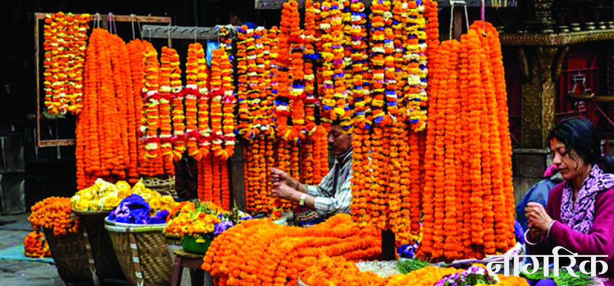 आज देखी तिहार शुरु